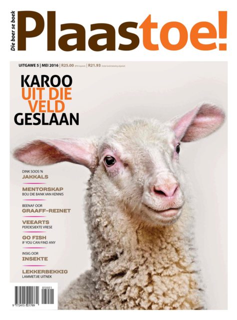 Plaastoe, May 2016 Plaastoe, May 2016