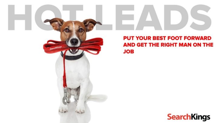 SearchKings Africa hot leads SearchKings Africa hot leads