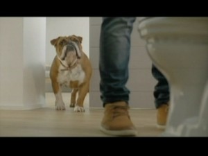 Bulldog 2