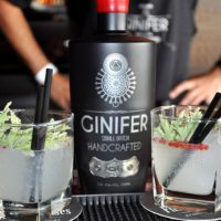 Ginifer Gin 2