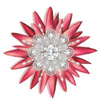New Miss South Africa branding