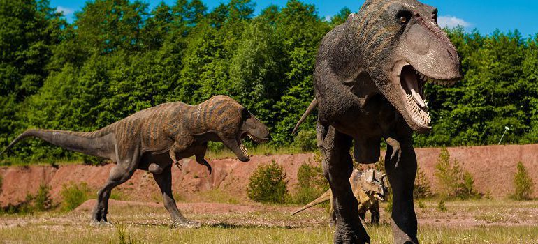 dinosaur by Dariusz Sankowski courtesy of Pixabay.com