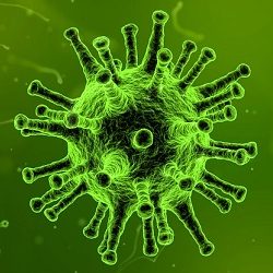 virus microscope infection illness courtesy of Pixabay